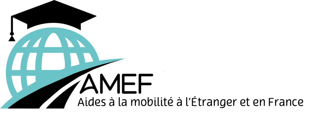 Logo AMEF