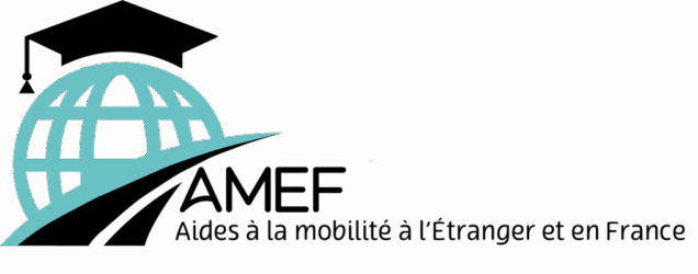 Logo AMEF