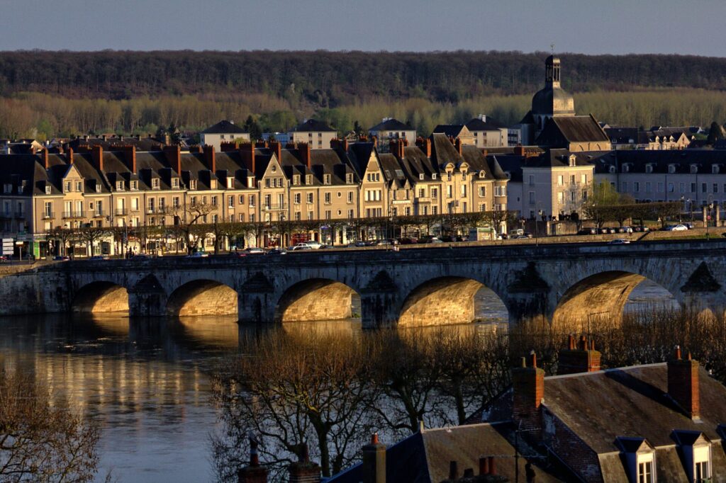 Université de Blois