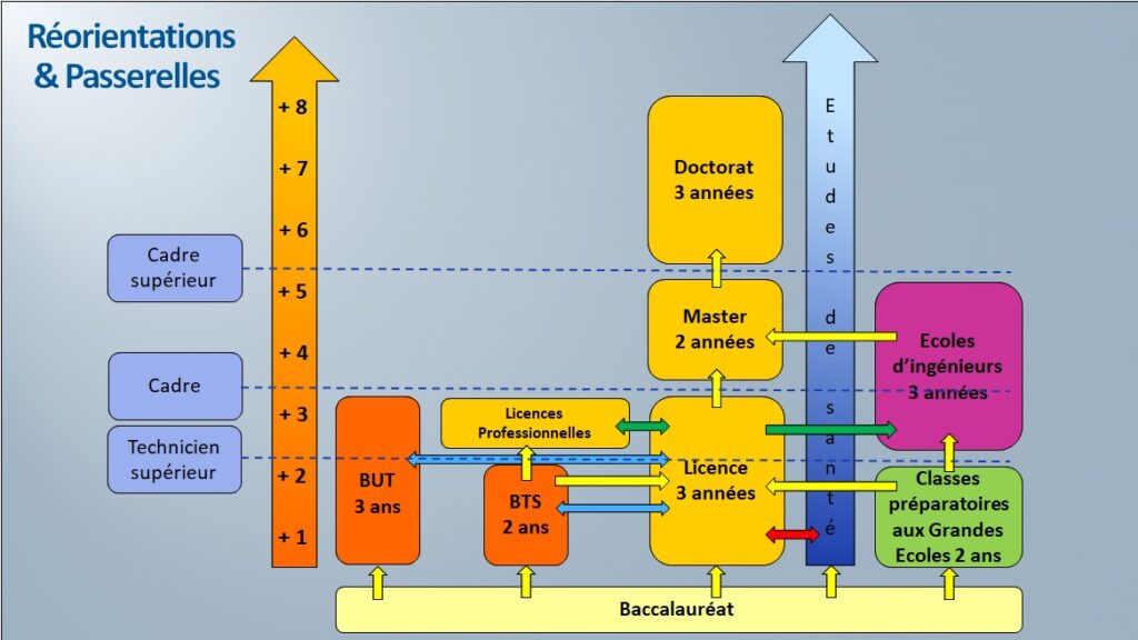 Schéma qui présente les différentes réorientations ainsi que les passerelles possibles entre les différents diplômes, du baccalauréat au doctorat.